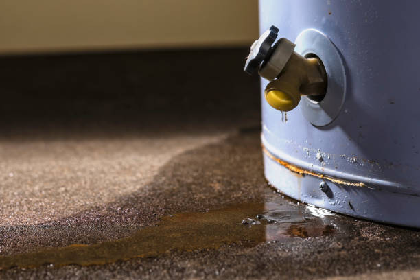 Best Sewage cleanup and water damage restoration  in Ponce Inlet, FL