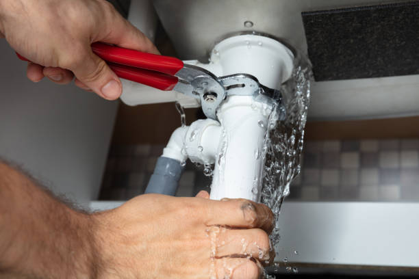 Best Mold removal after water damage  in Ponce Inlet, FL