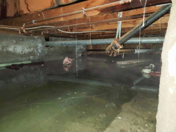 Best Water damage restoration insurance claims  in Ponce Inlet, FL