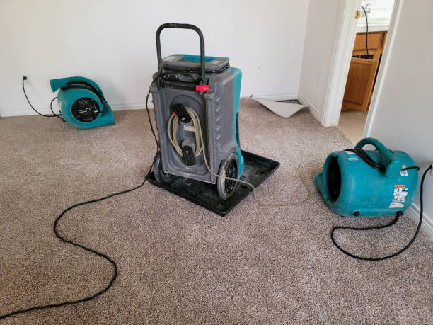 Best 24-hour water damage restoration  in Ponce Inlet, FL