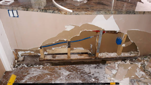 Carpet water damage restoration in Ponce Inlet, FL