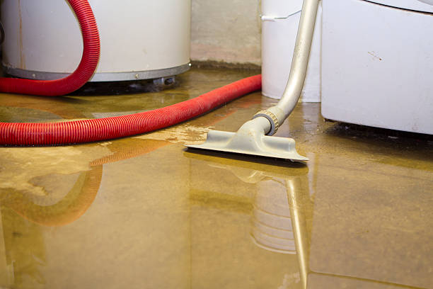 Best Carpet water damage restoration  in Ponce Inlet, FL