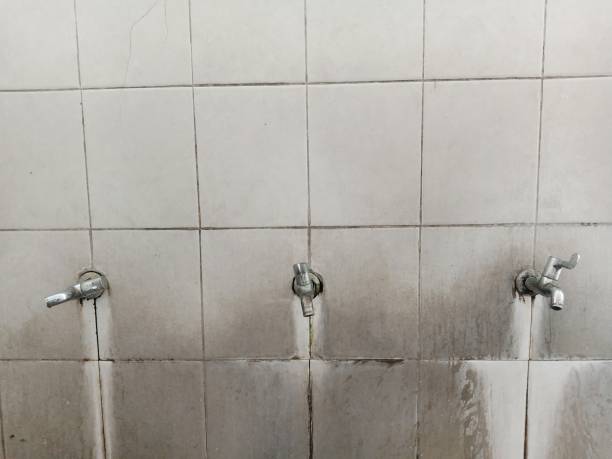 Best Water damage restoration cost  in Ponce Inlet, FL