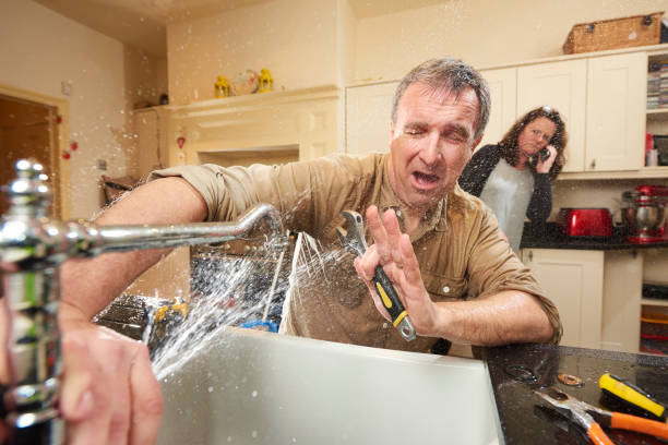 Best Water damage cleanup near me  in Ponce Inlet, FL